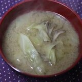 舞茸とキャベツの味噌汁